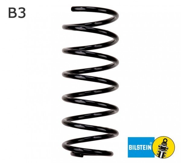 B3 - Federn Serien-Ersatzfedern vorne für ihren RENAULT CLIO III (BR0/1, CR0/1) 1.2 SL - 57 KW / 78